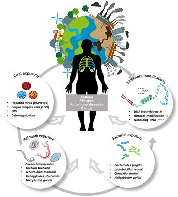 Understanding Asthma and Allergies by the Lens of Biodiversity and Epigenetic Changes